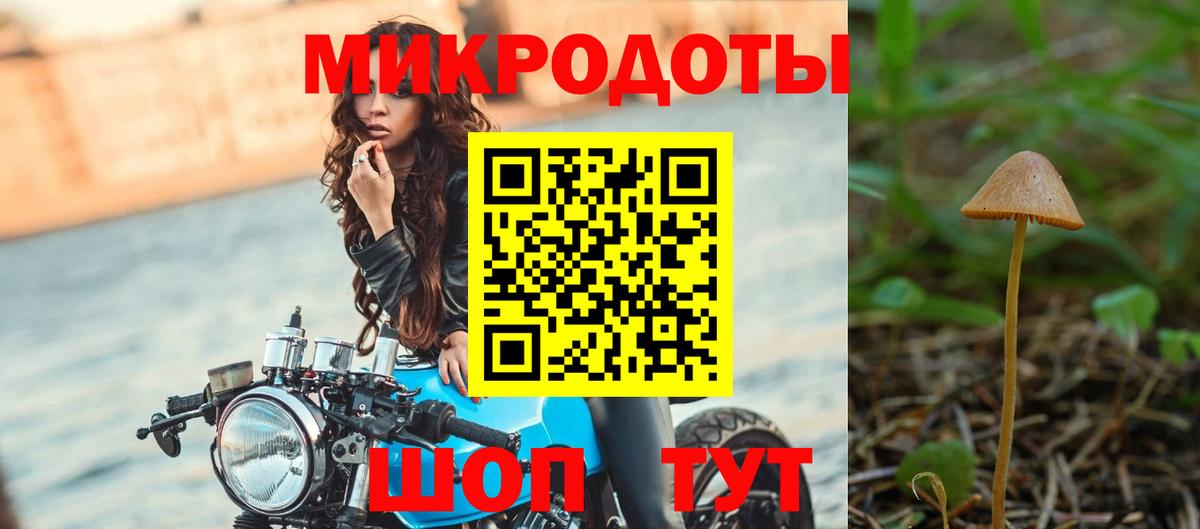 Красный Сулин  Галлюциногенные грибы MAGIC MUSHROOMS  Вход с VPN  Псилоцибиновые грибы прущие грибы 